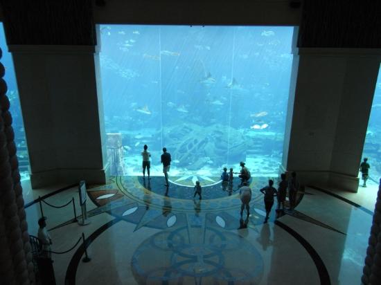 aquarium-viewed-from