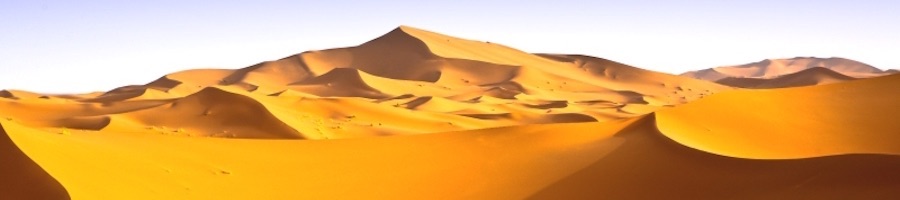 dubai_seminar_2